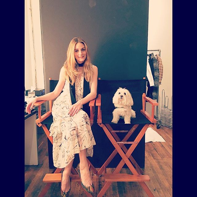 Olivia Palermo, Mr Butler is hair and make up ready Enjoying his day in the  studio and I'm loving my summer dress chelsea28oliviapalermo nordstrom |  Buro 24/7